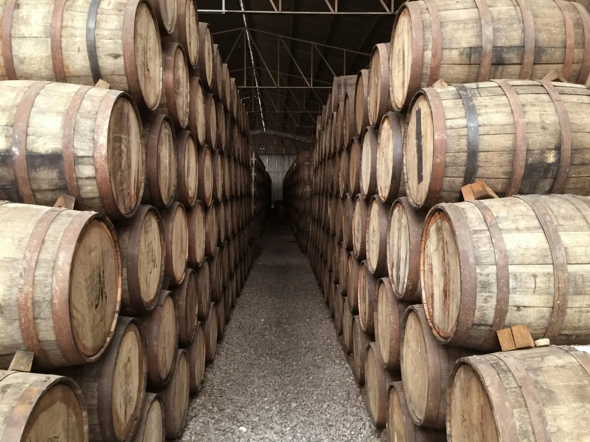 Barrels filled with tequila, stacked in rows